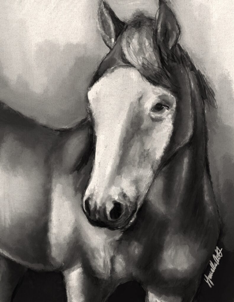 horse painting created in procreate by j lavallee