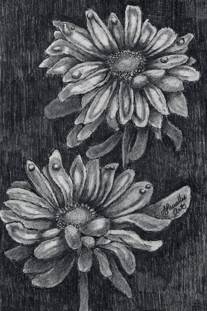 flower pencil drawing