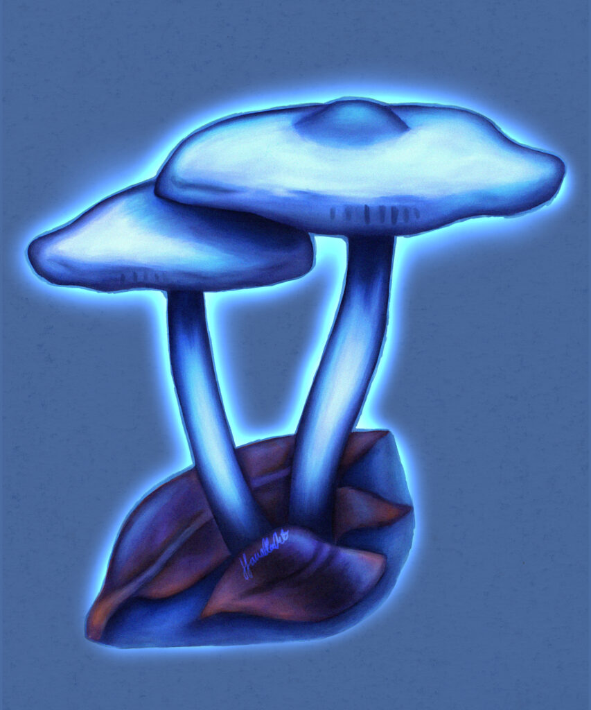 glowy mushroom