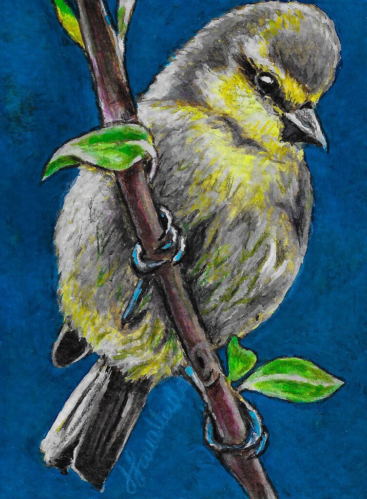 bird, gouache on watercolor paper 