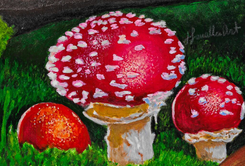 red mushrooms, gouache on watercolor paper